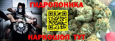 каннабис Новодвинск