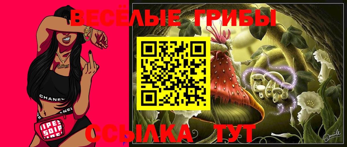 Галлюциногенные грибы GOLDEN TEACHER  Вход с VPN  Сосновый Бор  Галлюциногенные грибы MAGIC MUSHROOMS 