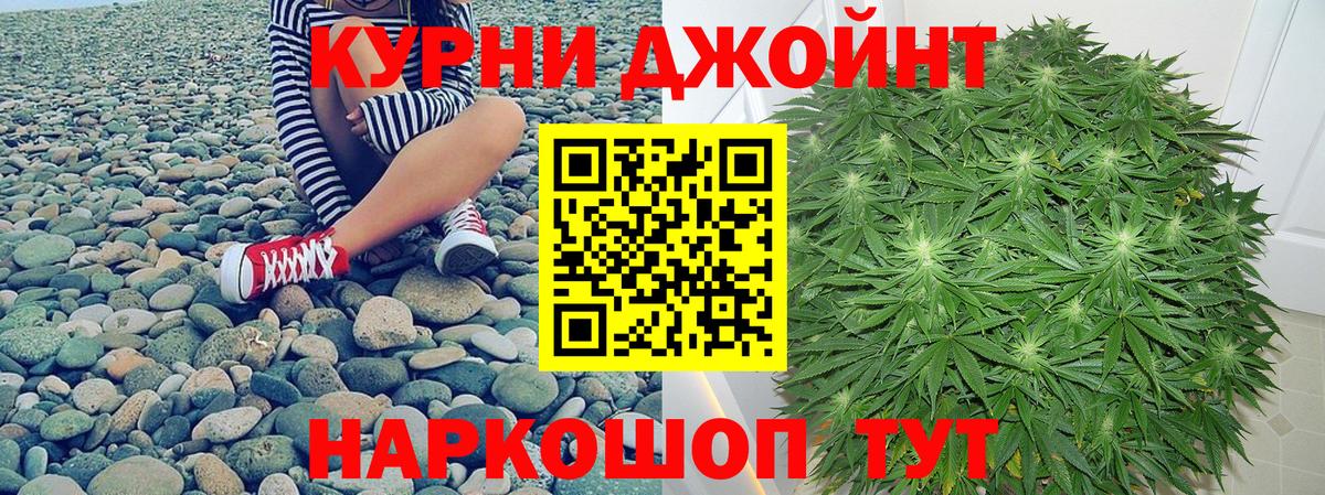 Каннабис сатива Сосновый Бор